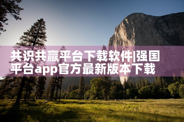 共识共赢平台下载软件