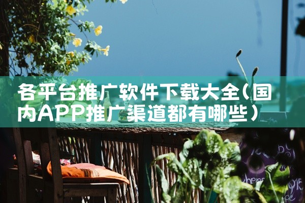各平台推广软件下载大全