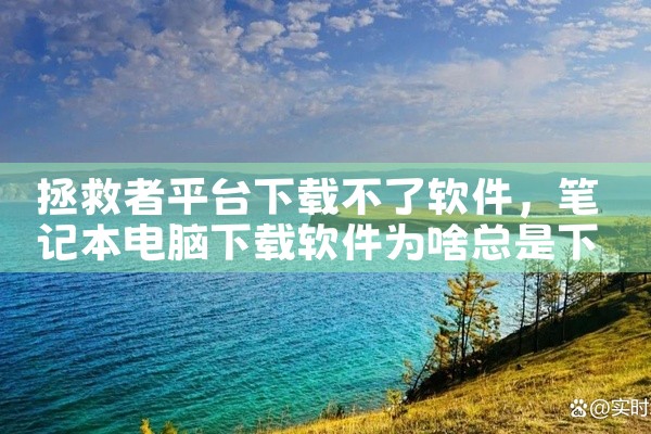 拯救者平台下载不了软件