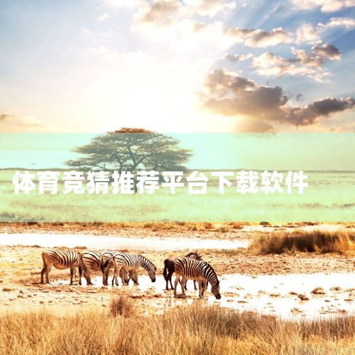 以下为你推荐几款免费的足球相关软件：一、懂球帝1. 丰富资讯：它能提供全球范围内的足球新闻，无论是豪门球队的动态，还是小众联赛的消息，都能及时更新。比如英超、西甲、德甲等主流联赛的转会信息、赛前赛后分,