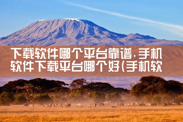 下载软件哪个平台靠谱