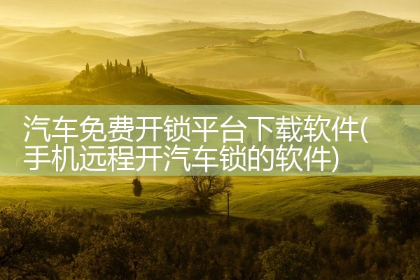 汽车免费开锁平台下载软件