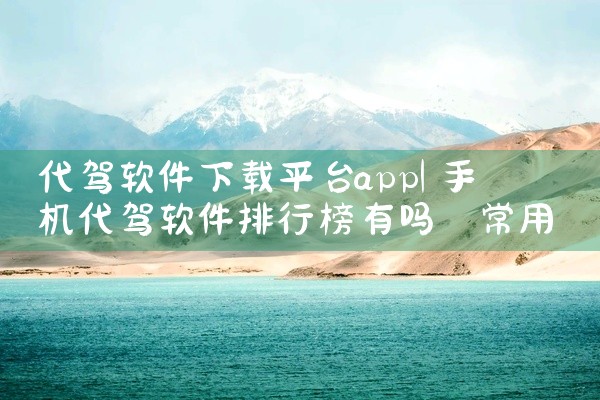 代驾软件下载平台app