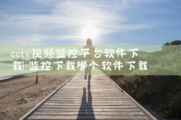 cctv视频监控平台软件下载