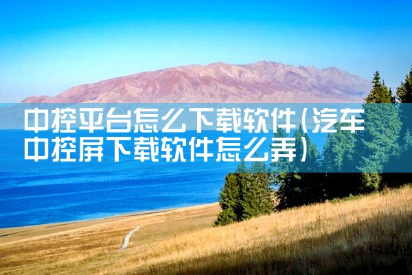 中控平台怎么下载软件