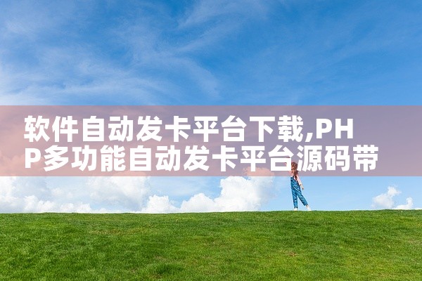 软件自动发卡平台下载