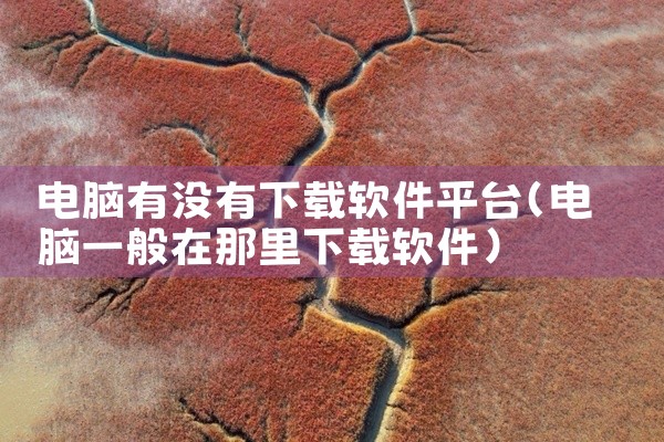 电脑有没有下载软件平台
