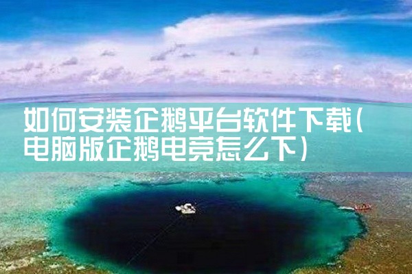 如何安装企鹅平台软件下载